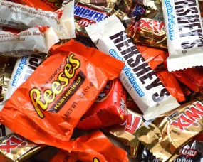 Assorted Mini Chocolate Bulk Candy Mix