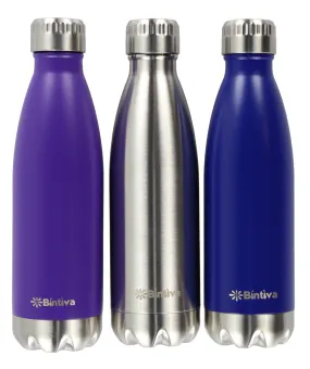 Bintiva Double Walled Vacuum Insulated 25oz Stainless Steel Water Bottle - Brushed Stainless