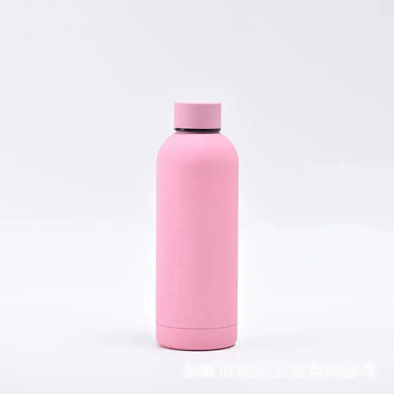 Matt Finish Stainless Steel Water Bottle (500 ml)