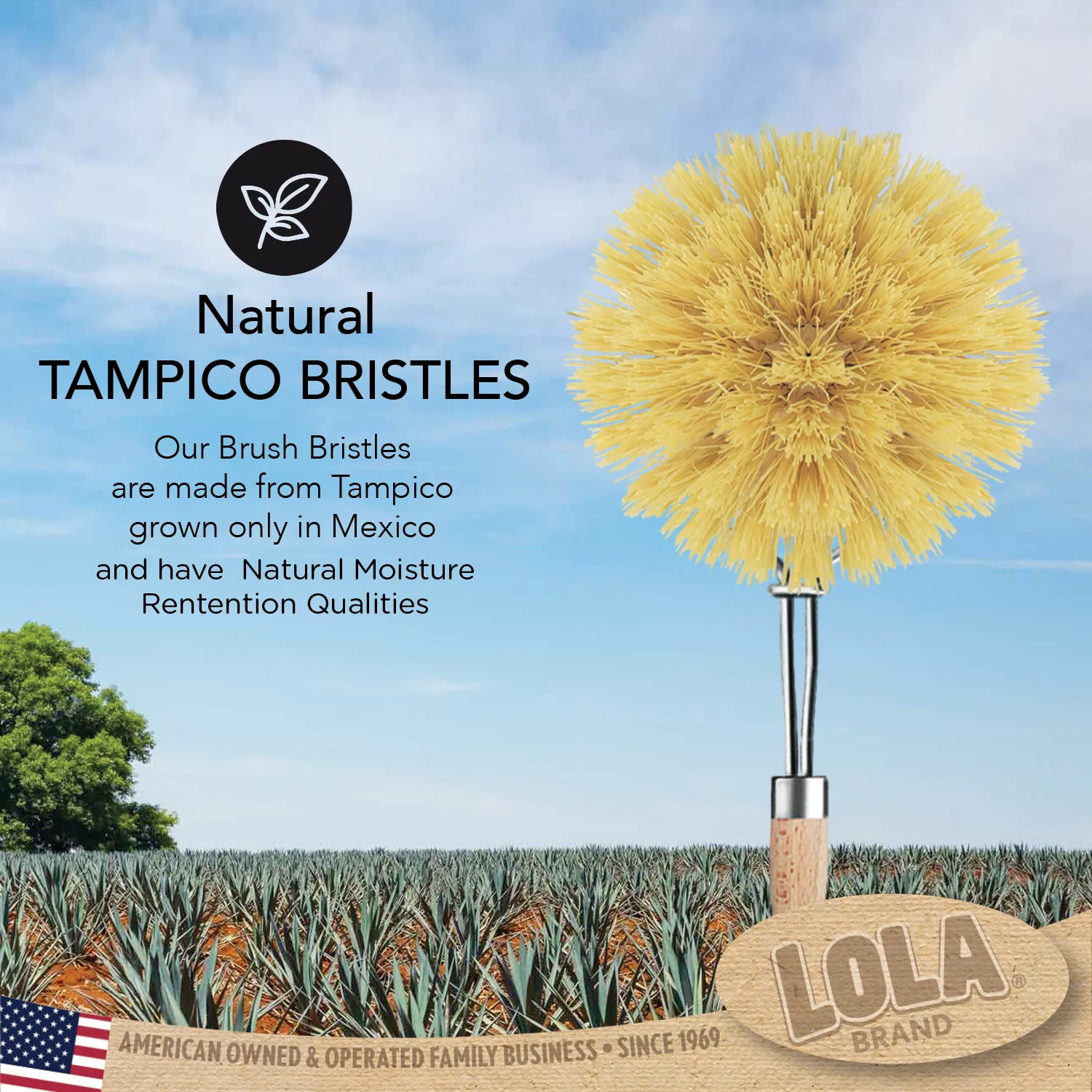 "The Original" Tampico Vegetable & Dish Brush - Large Head