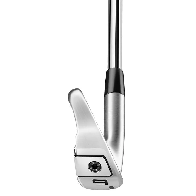 TaylorMade 2020 P790 Golf Irons | Steel