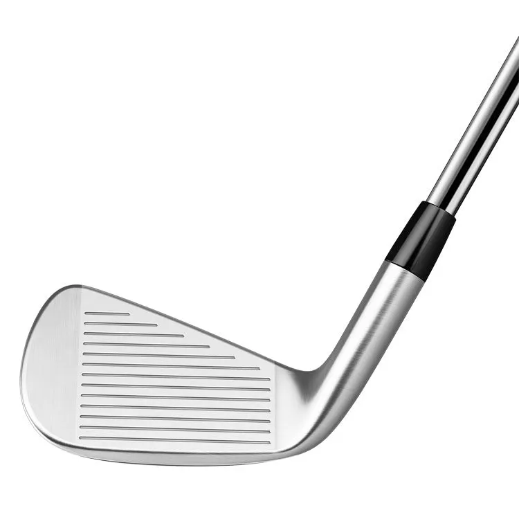 TaylorMade 2020 P790 Golf Irons | Steel