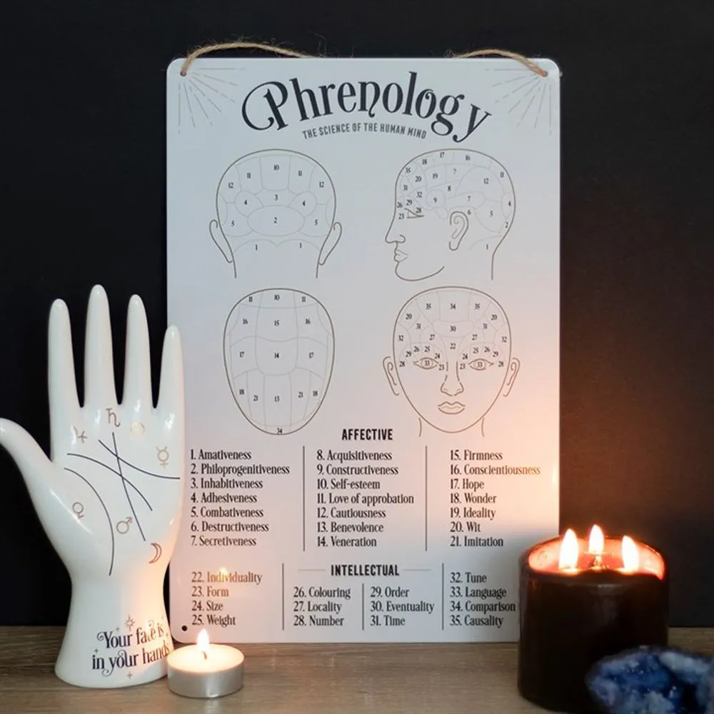 Vintage Phrenology Map Metal Sign