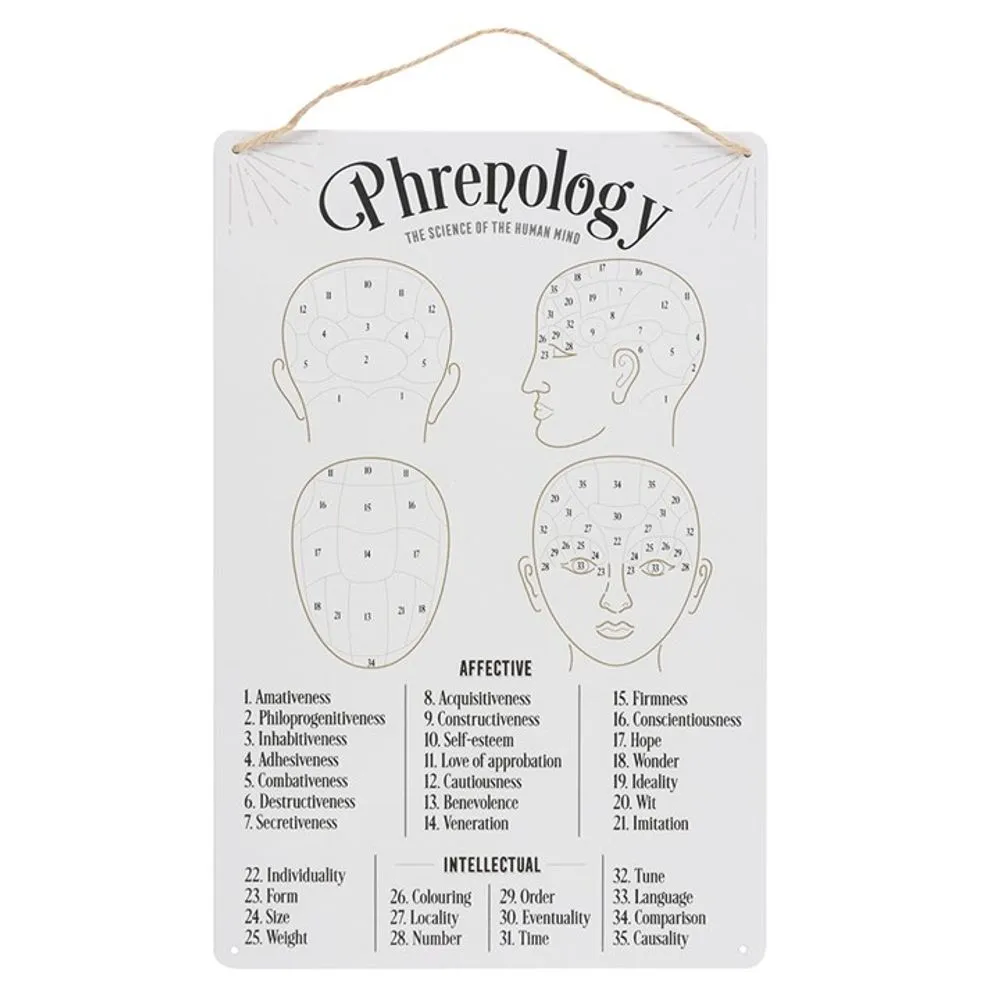 Vintage Phrenology Map Metal Sign