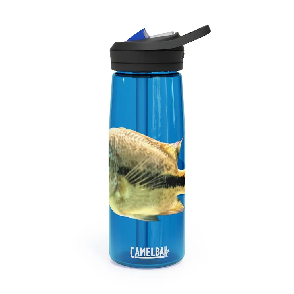 White and Black Fish CamelBak Eddy®  Water Bottle, 20oz / 25oz