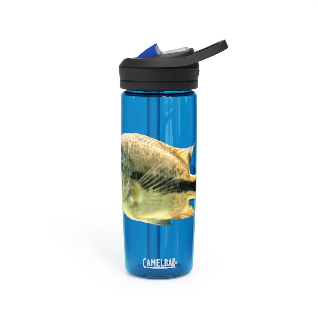 White and Black Fish CamelBak Eddy®  Water Bottle, 20oz / 25oz