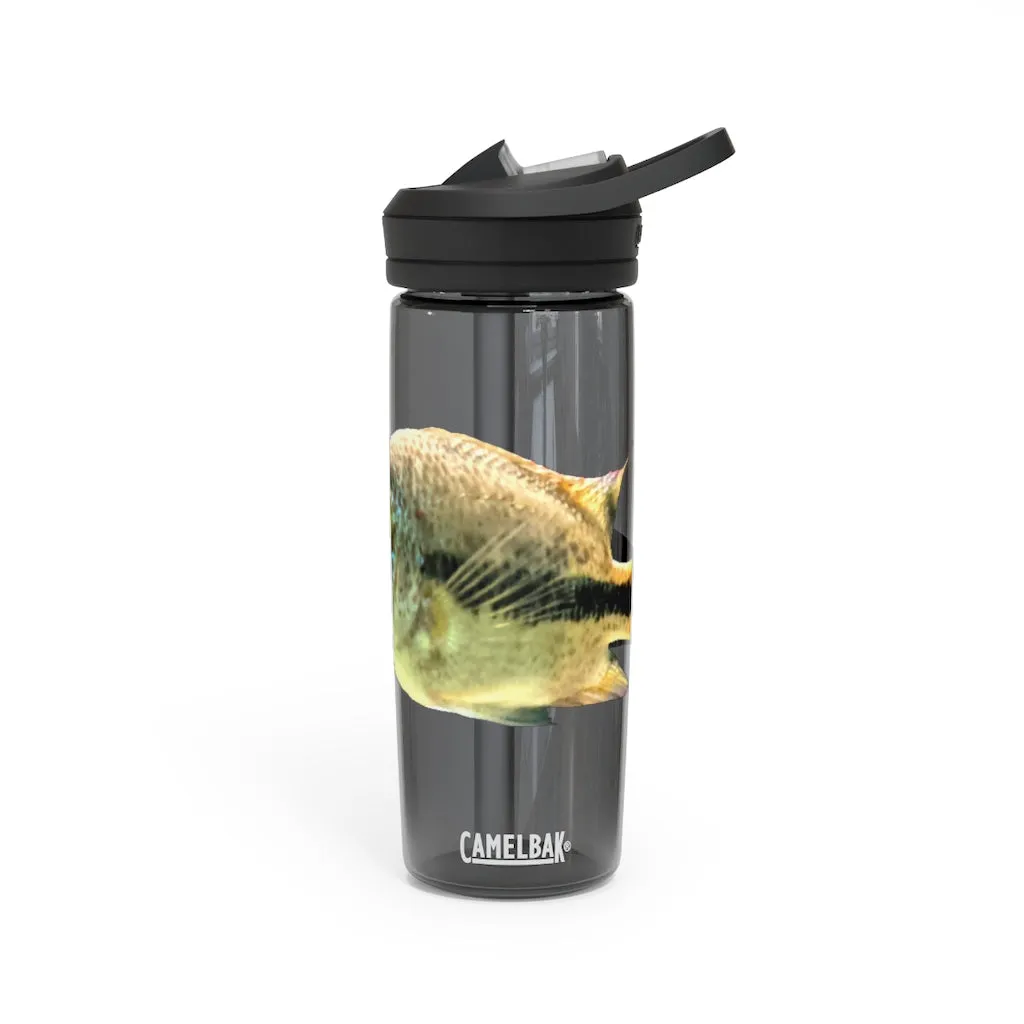 White and Black Fish CamelBak Eddy®  Water Bottle, 20oz / 25oz